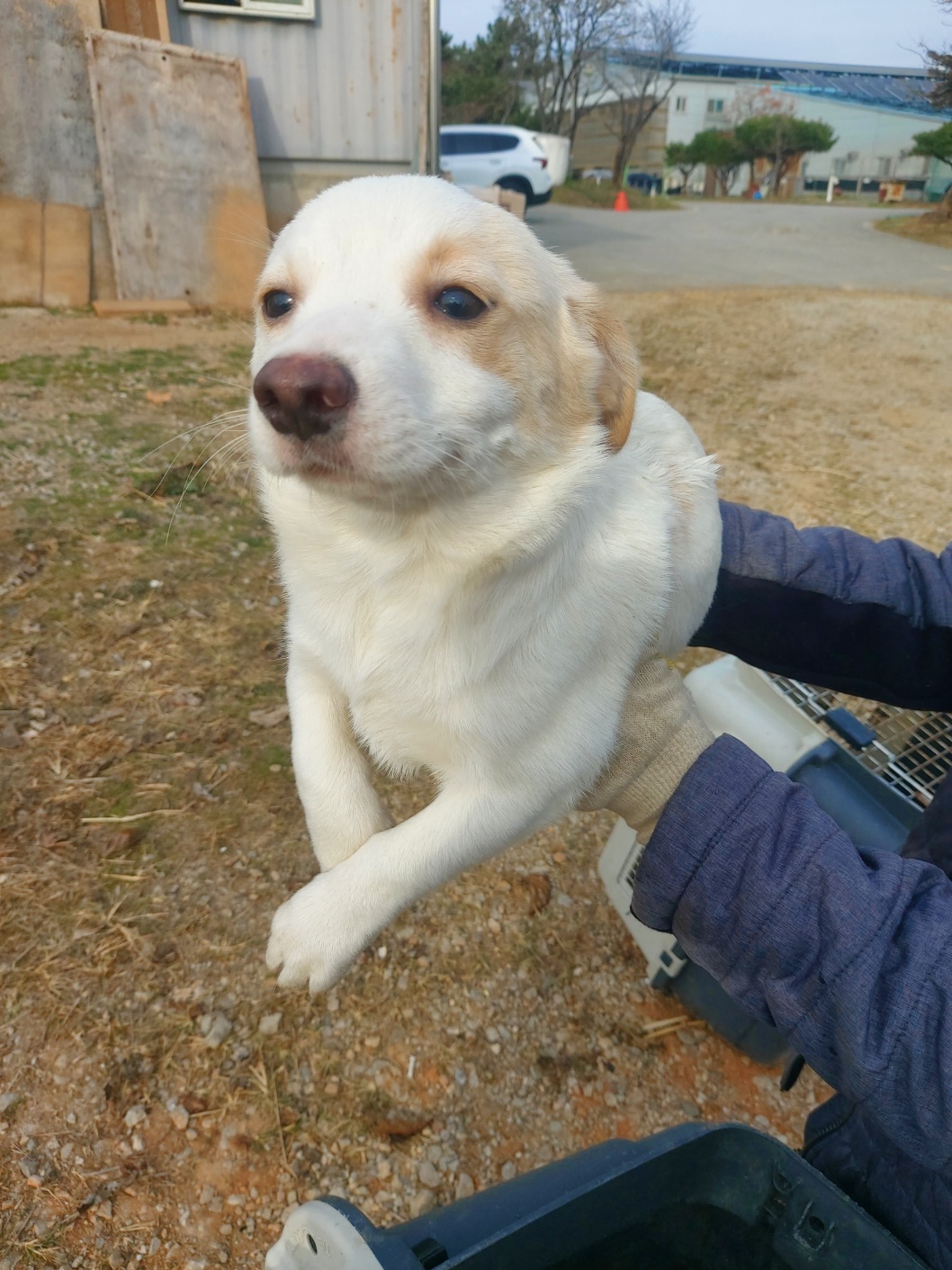전북말산업복합센터_445471202400748